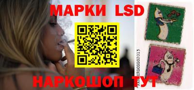 прущие грибы Краснодар