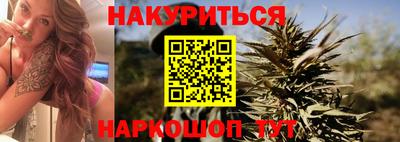 прущие грибы Краснодар