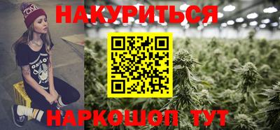 прущие грибы Краснодар